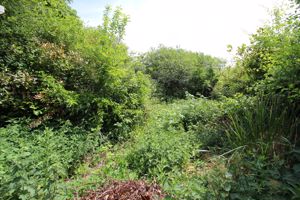 Garden- click for photo gallery